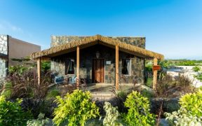 Moustache Luxuria Jawai